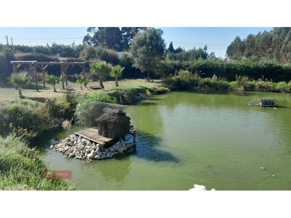 Helårsgrund i Asseiceira, Santarem - foto 3