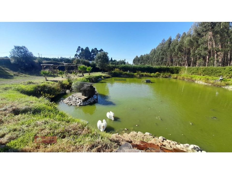 Helårsgrund i Asseiceira, Santarem - foto 4