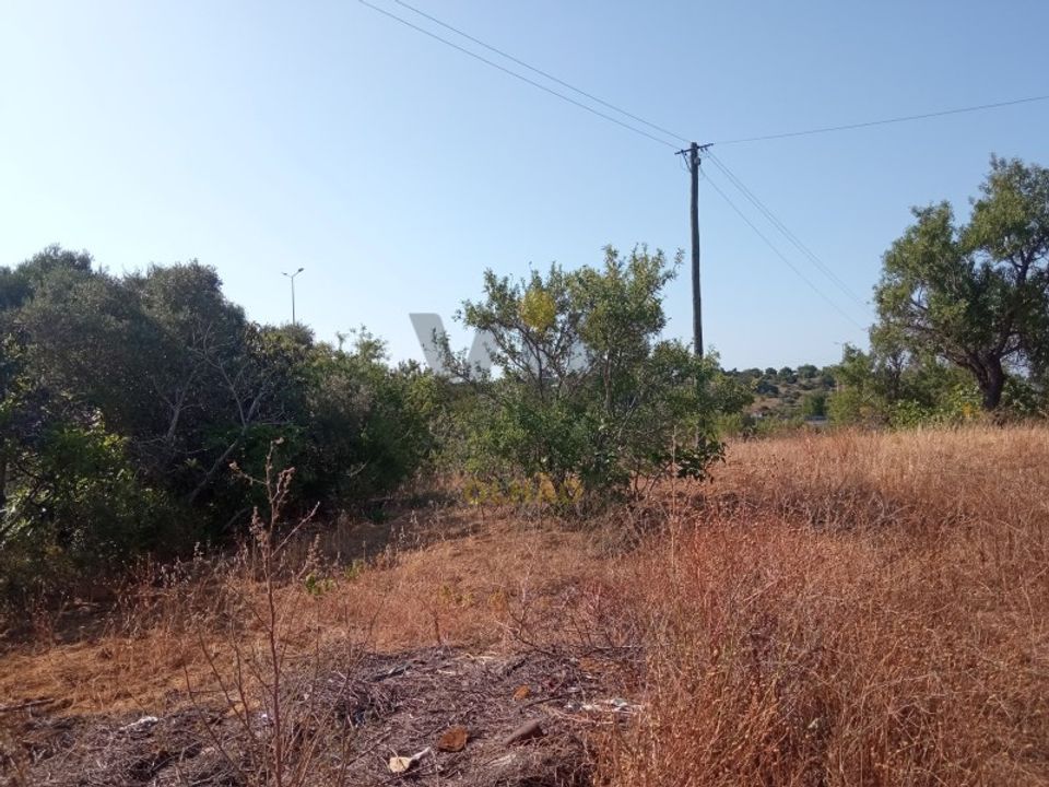 Ruinere i Quelfes, Faro - foto 2