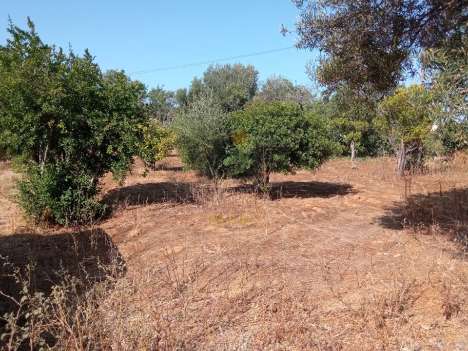 Ruinere i Quelfes, Faro - foto 3