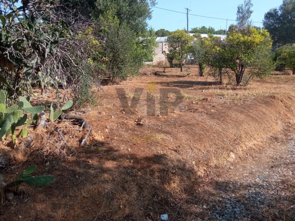 Ruinere i Quelfes, Faro - foto 4