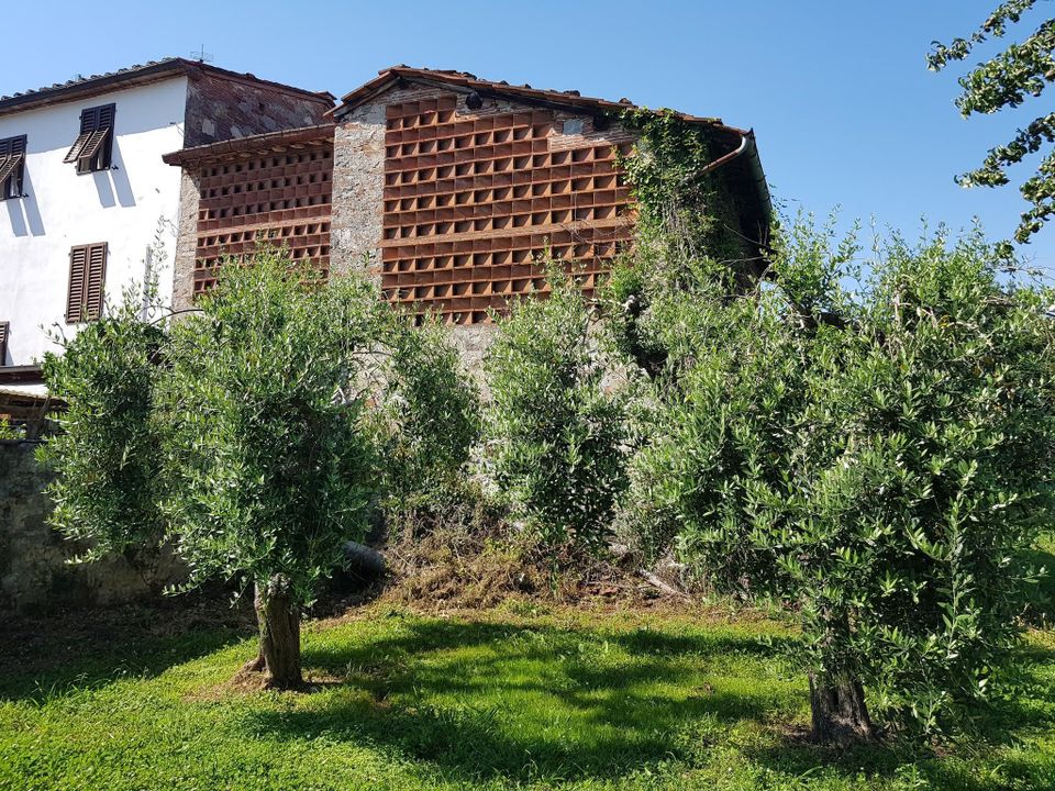 Byhus i Lucca, Lucca - foto 2
