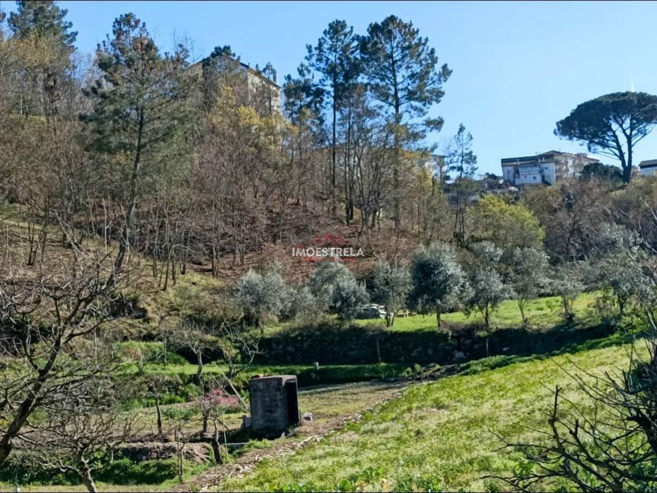 Farm i Seia, Guarda - foto 3