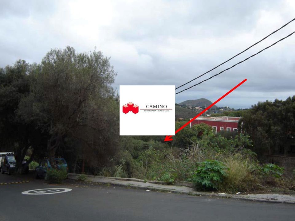 Finca i Santa Brigida, Gran Canaria - foto 3