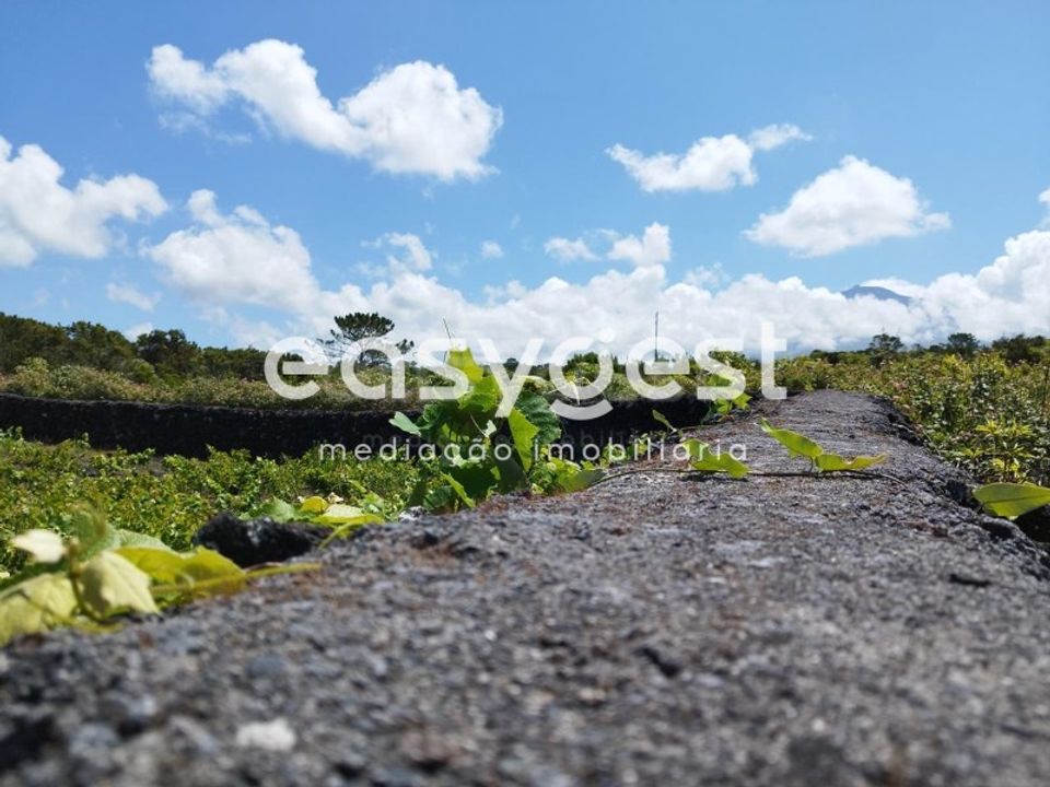 Helårsgrund i Criacao Velha, Pico - foto 4