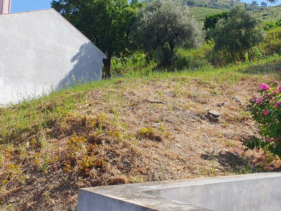 Tomt i Armamar, Viseu - bilde 4