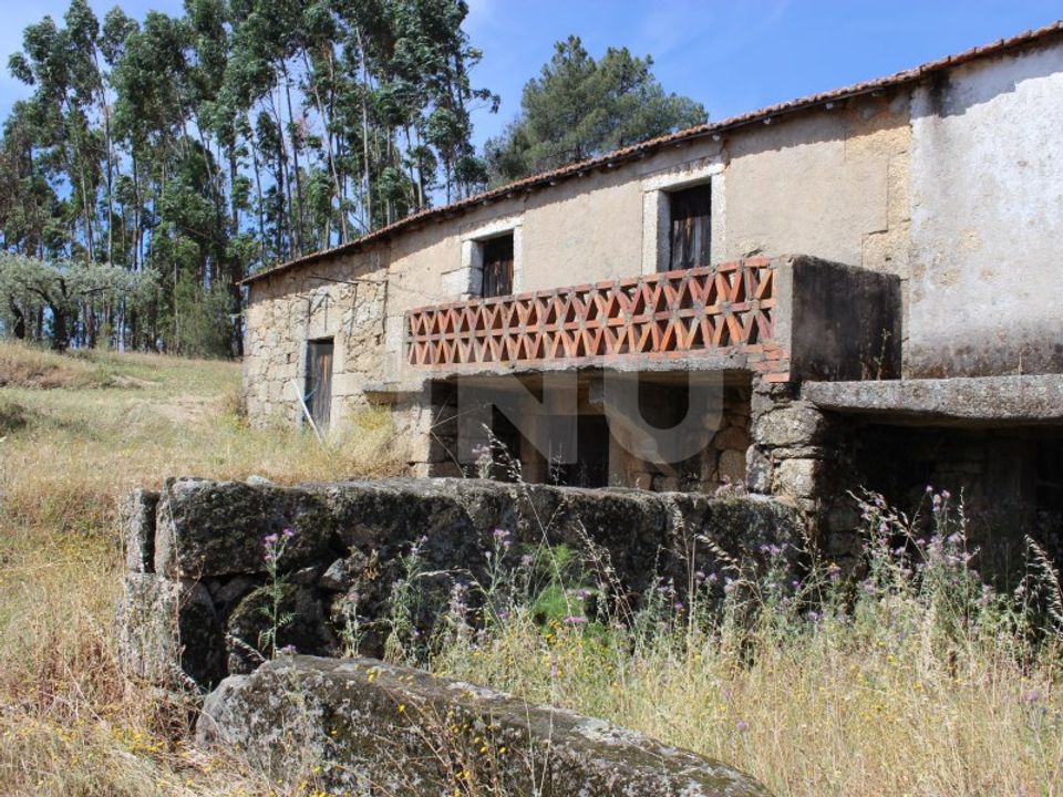 Farm i Fundao, Castelo Branco - foto 1