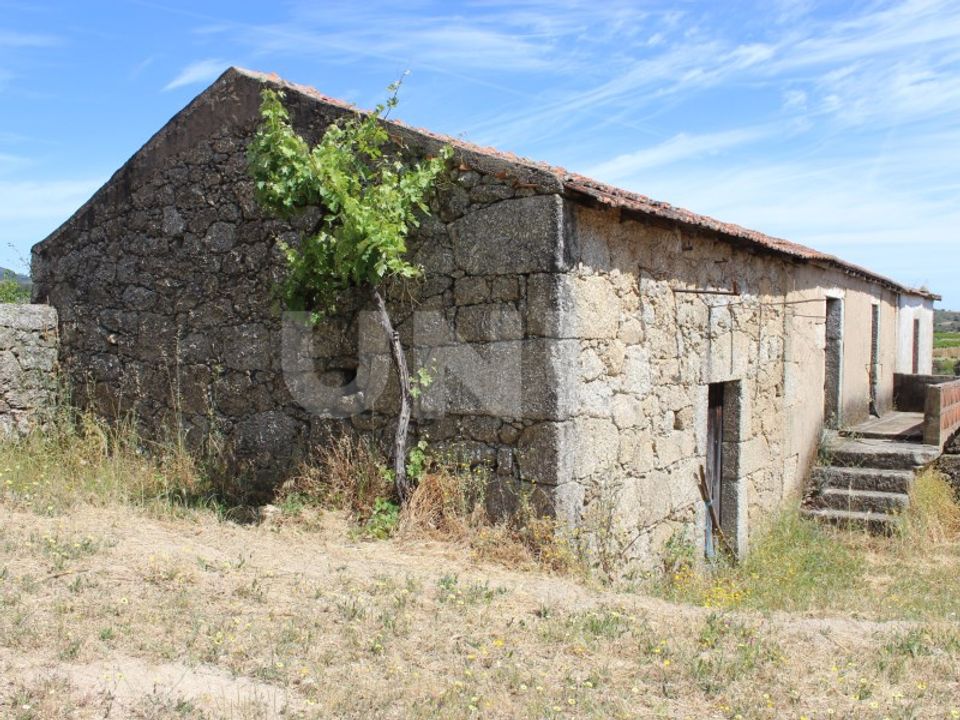 Farm i Fundao, Castelo Branco - foto 2