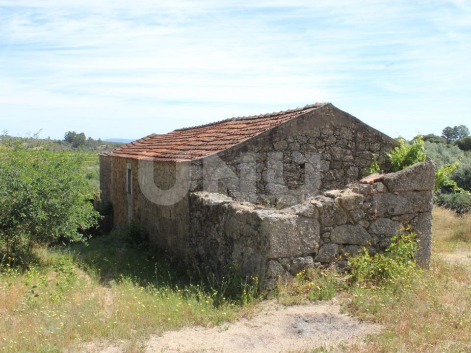 Farm i Fundao, Castelo Branco - foto 5