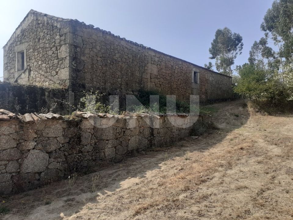 Farm i Fundao, Castelo Branco - foto 3