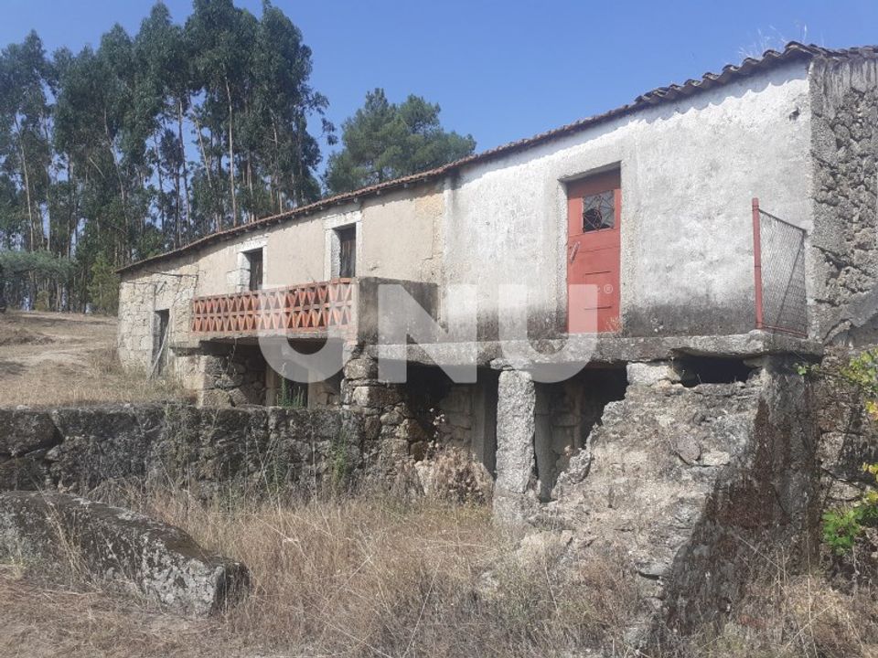 Farm i Fundao, Castelo Branco - foto 4