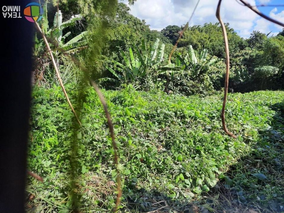 Terra a Saint-Andre, La Reunion - foto 1