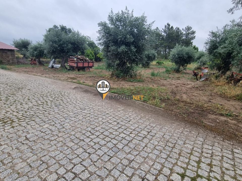 Helårsgrund i Castelo Branco, Castelo Branco - foto 2