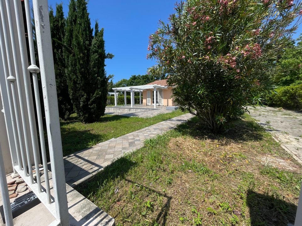 Villa i Pietrasanta, Lucca - bilde 1