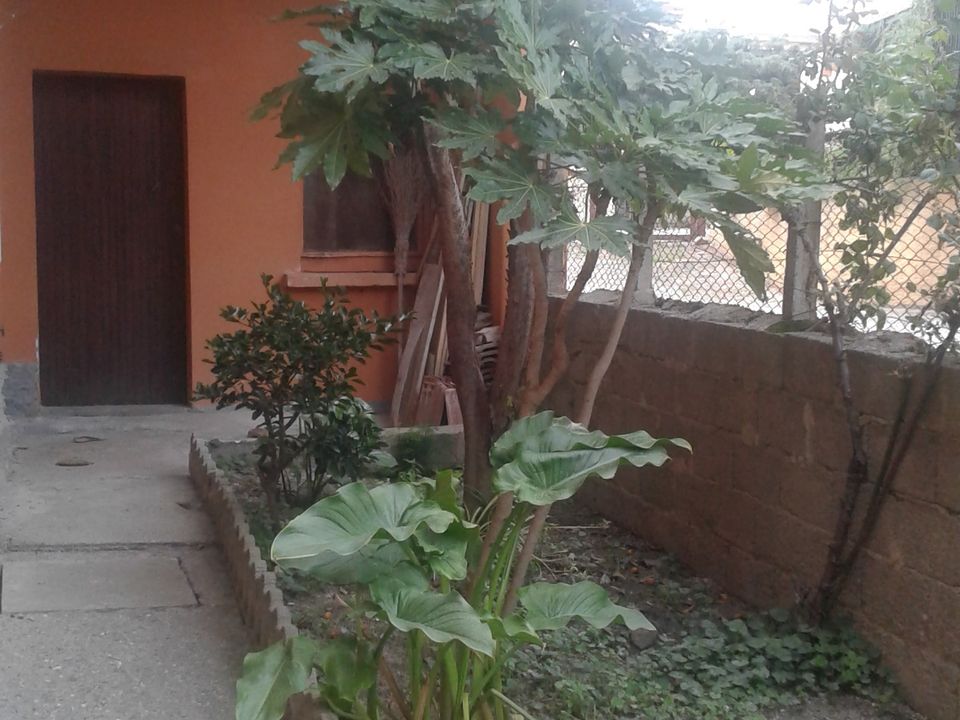 Apartamento em Gizzeria, Catanzaro - foto 3