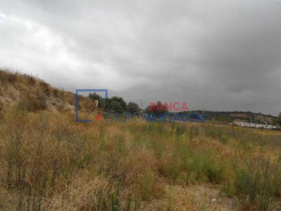 Terreno en Alvito, Beja - foto 2