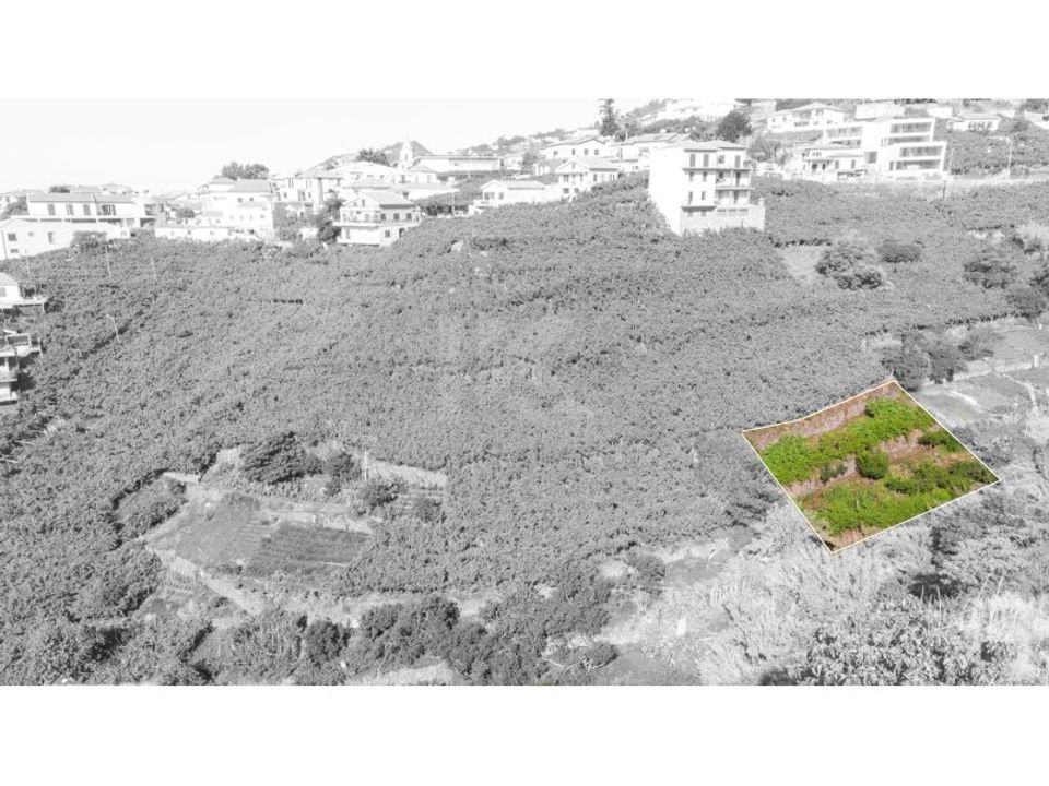 Helårsgrund i Camara de Lobos, Madeira - foto 3