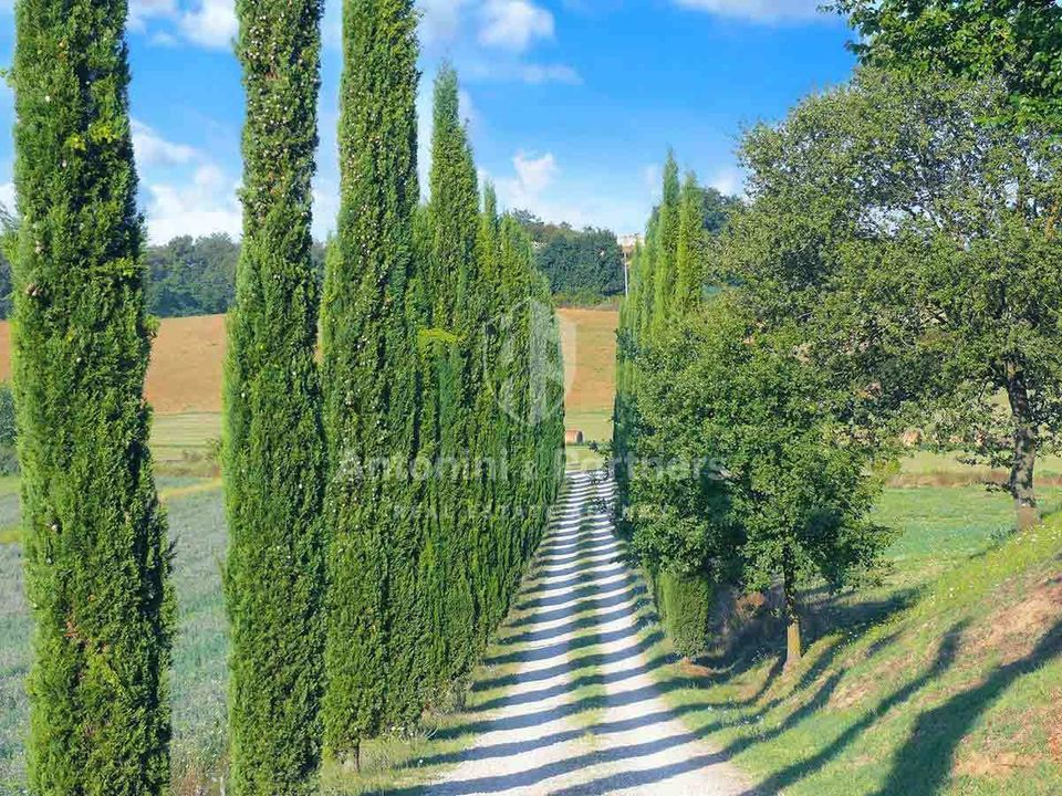 Villa i Castiglione del Lago, Perugia - foto 3