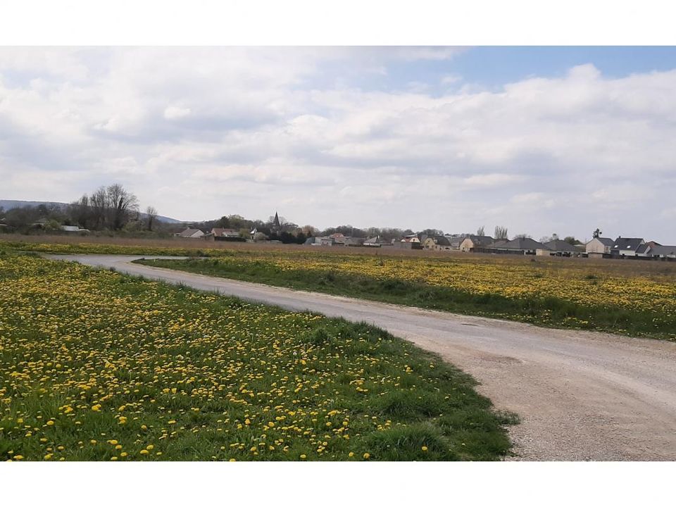 Helårsgrund i Val-de-Vesle, Marne - foto 2