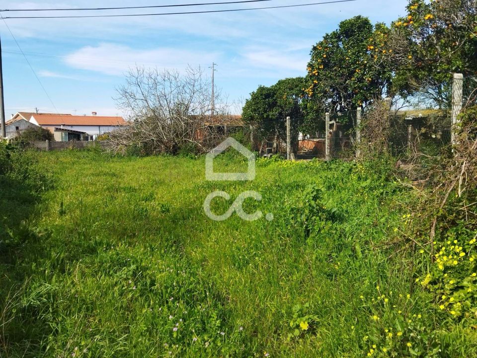 Helårsgrund i Monte Real, Leiria - foto 4