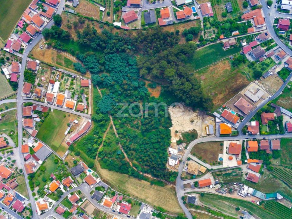 Helårsgrund i Santo Tirso, Porto - foto 4