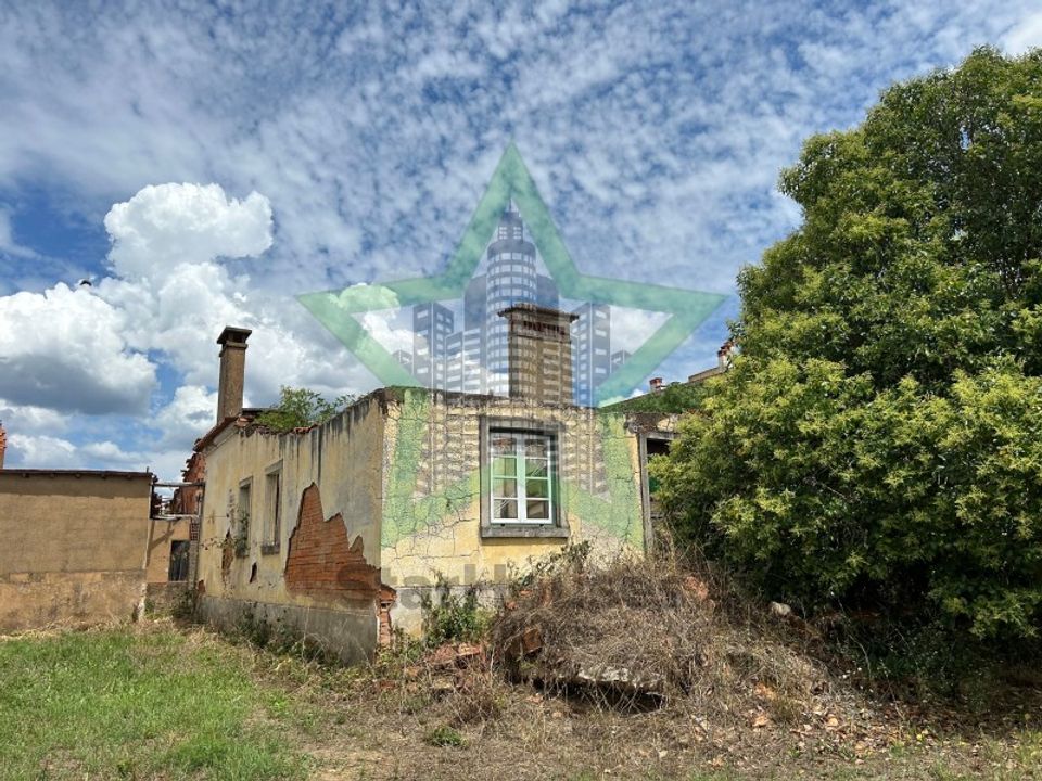Farm i Tomar, Santarem - foto 1