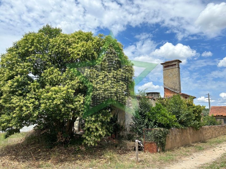 Farm i Tomar, Santarem - foto 4
