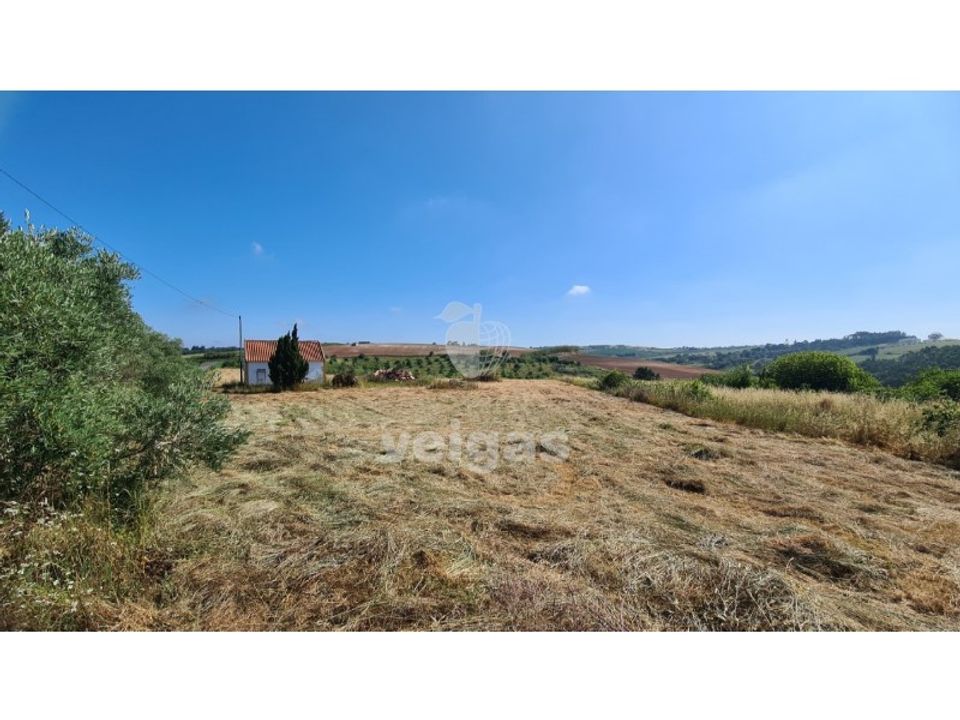 Helårsgrund i Carvalhal, Leiria - foto 1