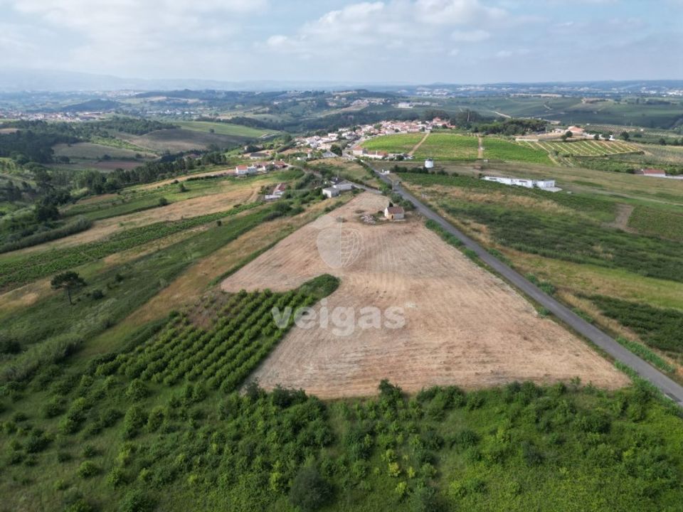 Helårsgrund i Carvalhal, Leiria - foto 3
