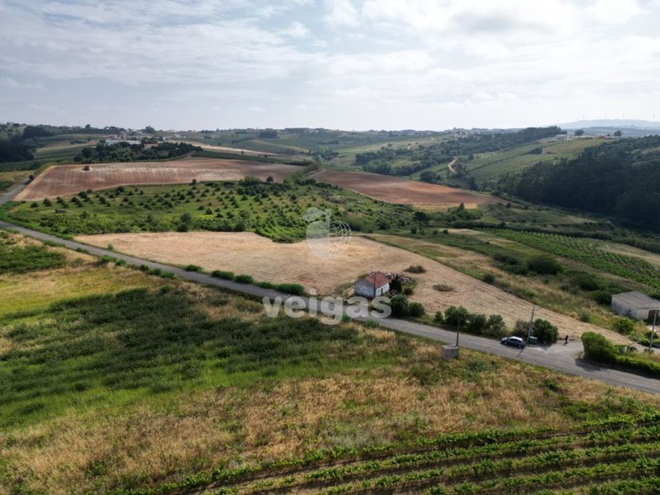 Helårsgrund i Carvalhal, Leiria - foto 4