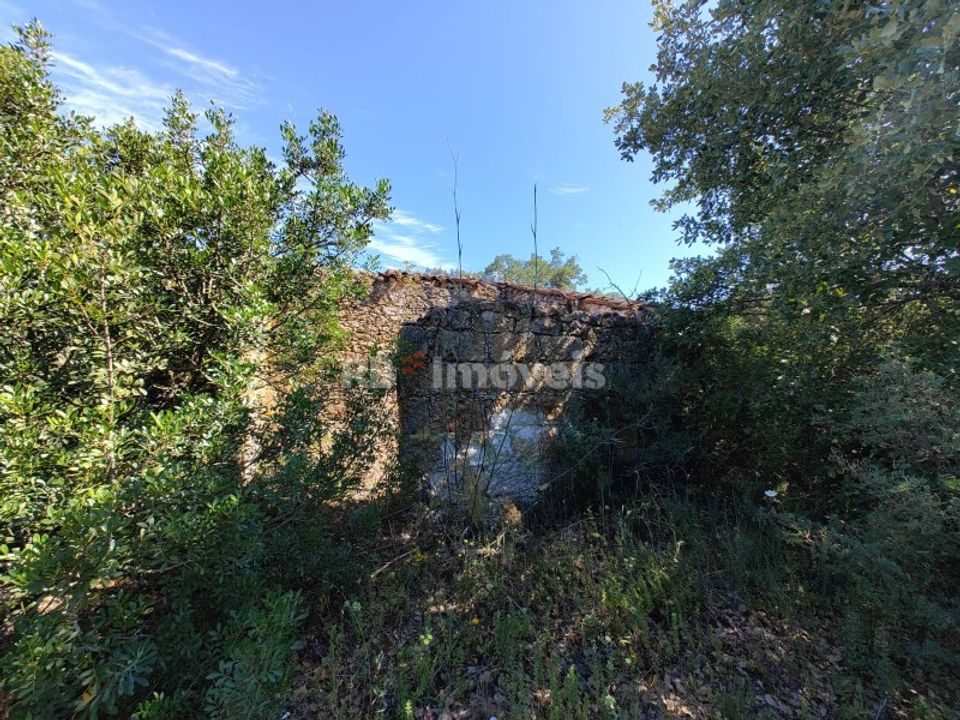 Helårsgrund i Torres Novas, Santarem - foto 1