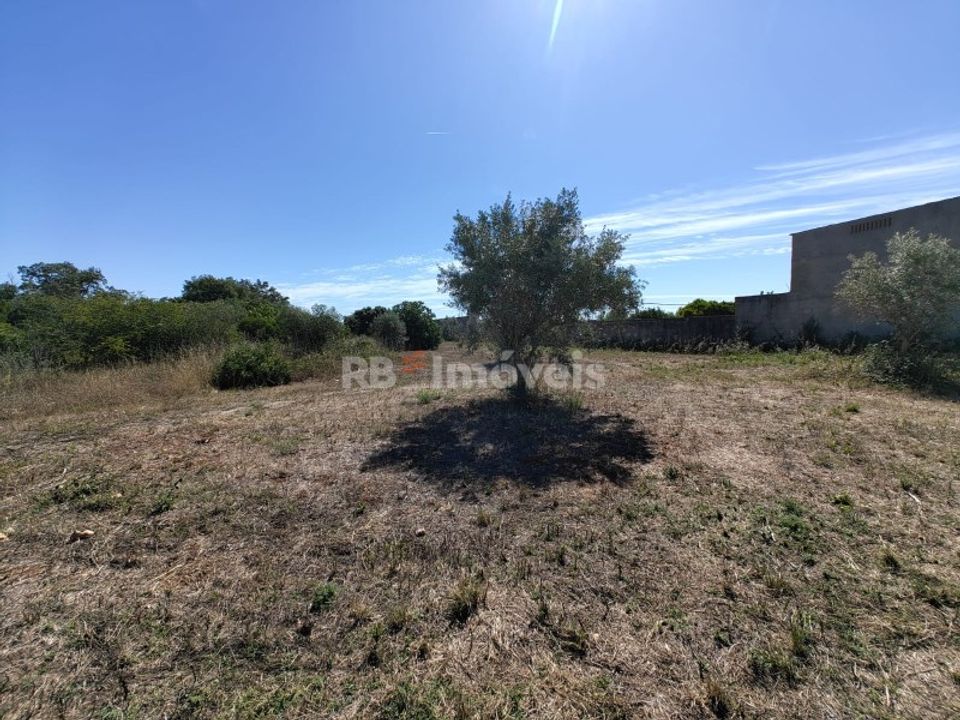Helårsgrund i Torres Novas, Santarem - foto 2