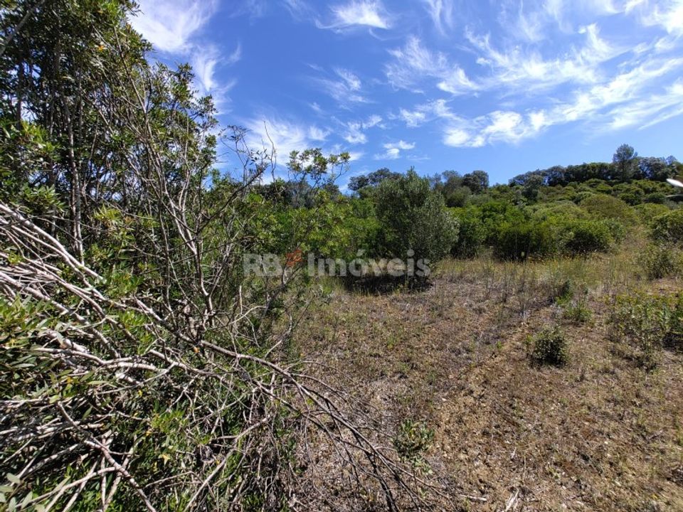Helårsgrund i Torres Novas, Santarem - foto 2
