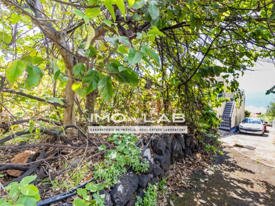 Helårsgrund i Santa Cruz, Madeira - foto 4