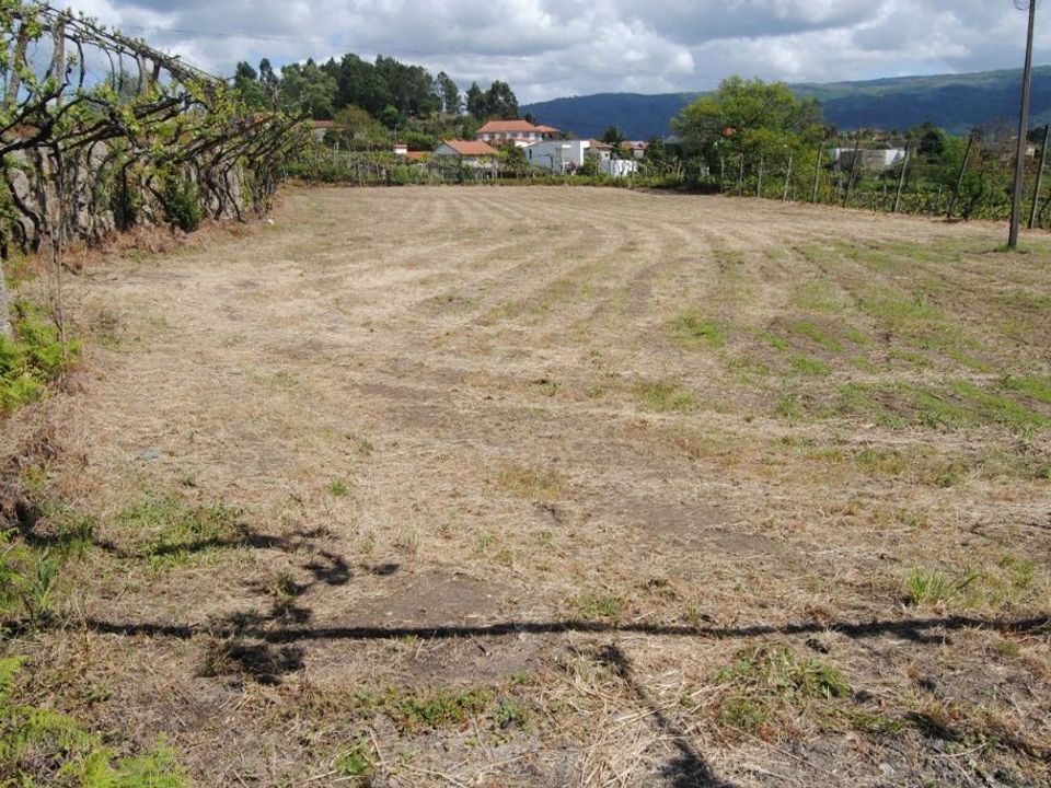 Farm i Amarante, Porto - foto 3