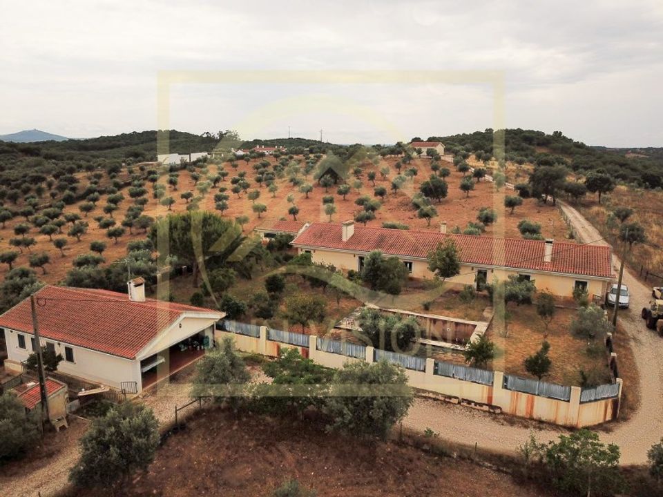 Farm i Estremoz, Evora - foto 1