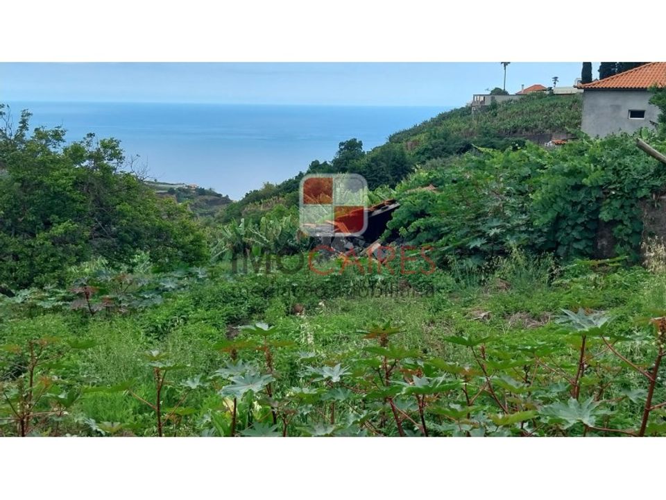 Helårsgrund i Ponta do Sol, Madeira - foto 1