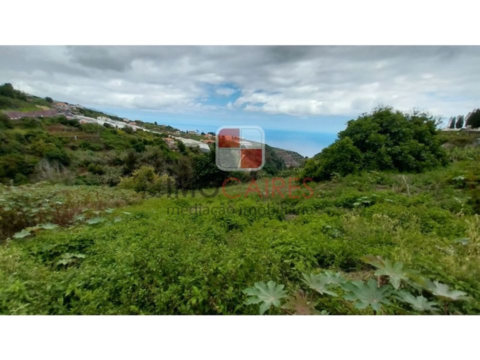 Helårsgrund i Ponta do Sol, Madeira - foto 3