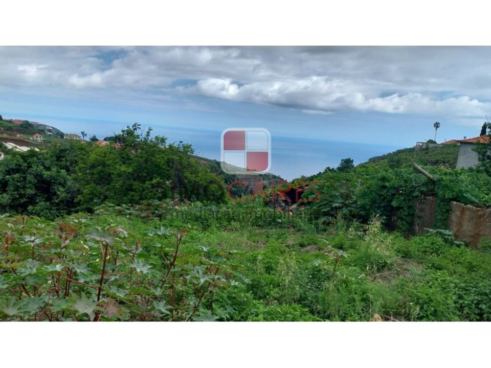 Helårsgrund i Ponta do Sol, Madeira - foto 4
