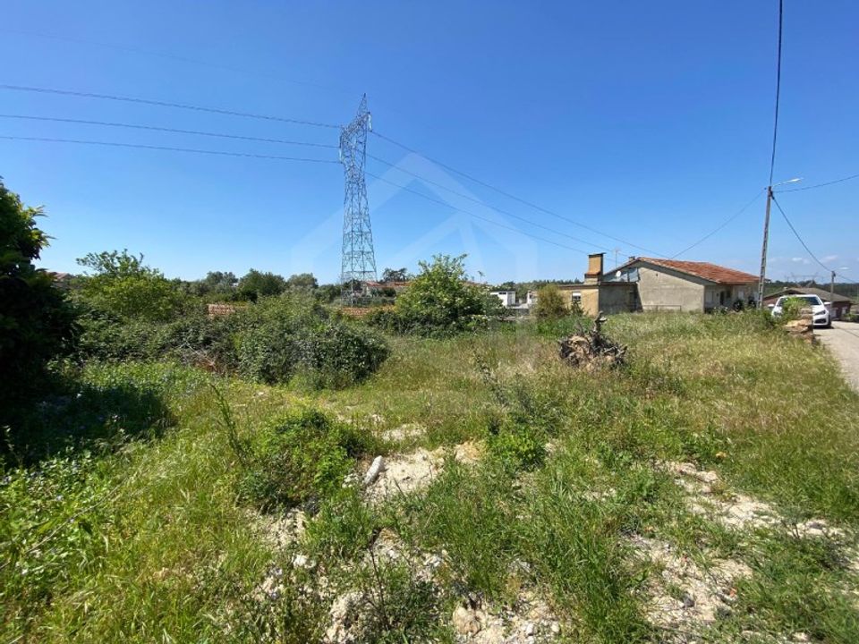 Helårsgrund i Anadia, Aveiro - foto 1