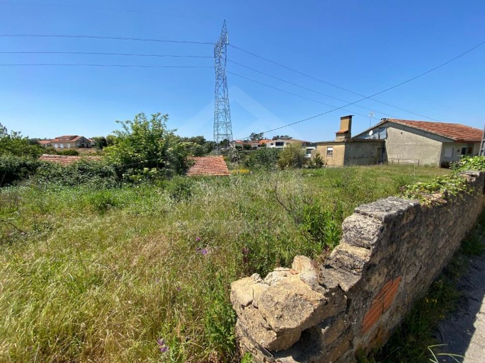 Helårsgrund i Anadia, Aveiro - foto 4