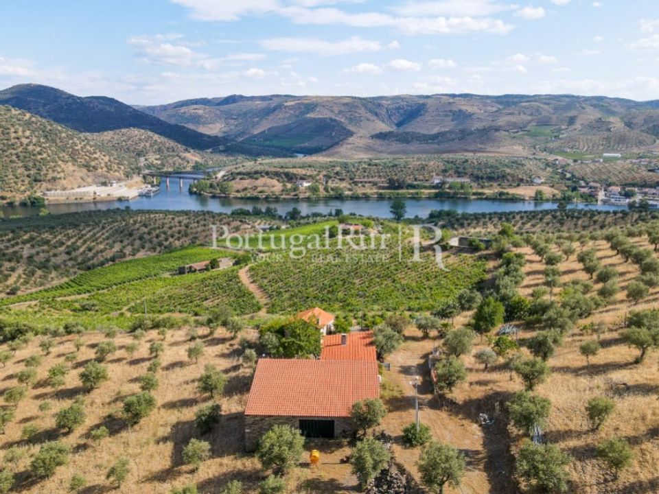 Farm i Figueira de Castelo Rodrigo, Guarda - foto 1