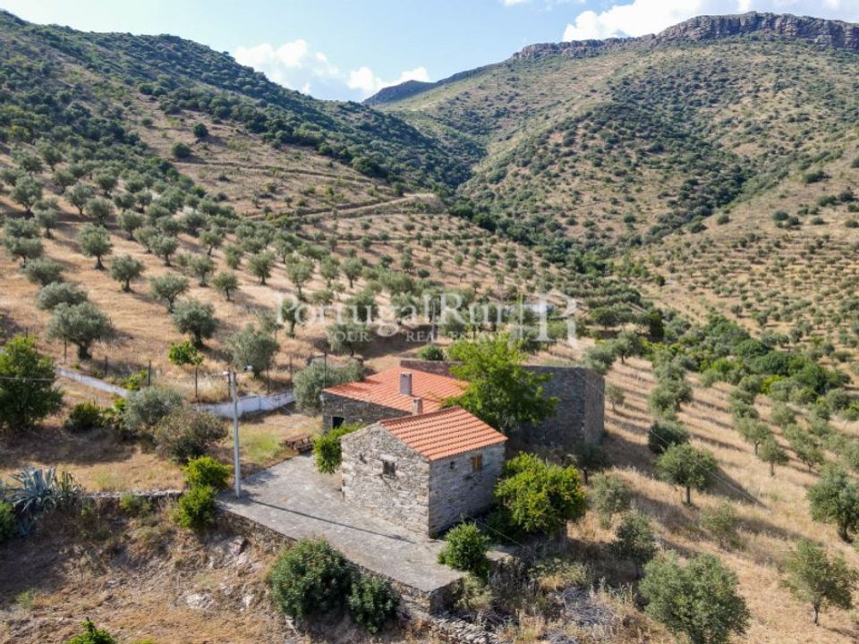 Farm i Figueira de Castelo Rodrigo, Guarda - foto 2