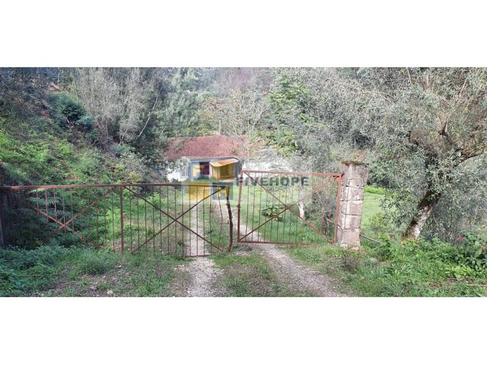 Farm i Coimbra, Coimbra - foto 2