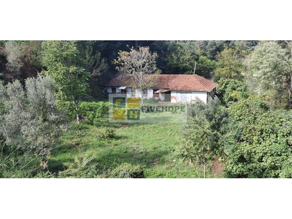 Farm i Coimbra, Coimbra - foto 3