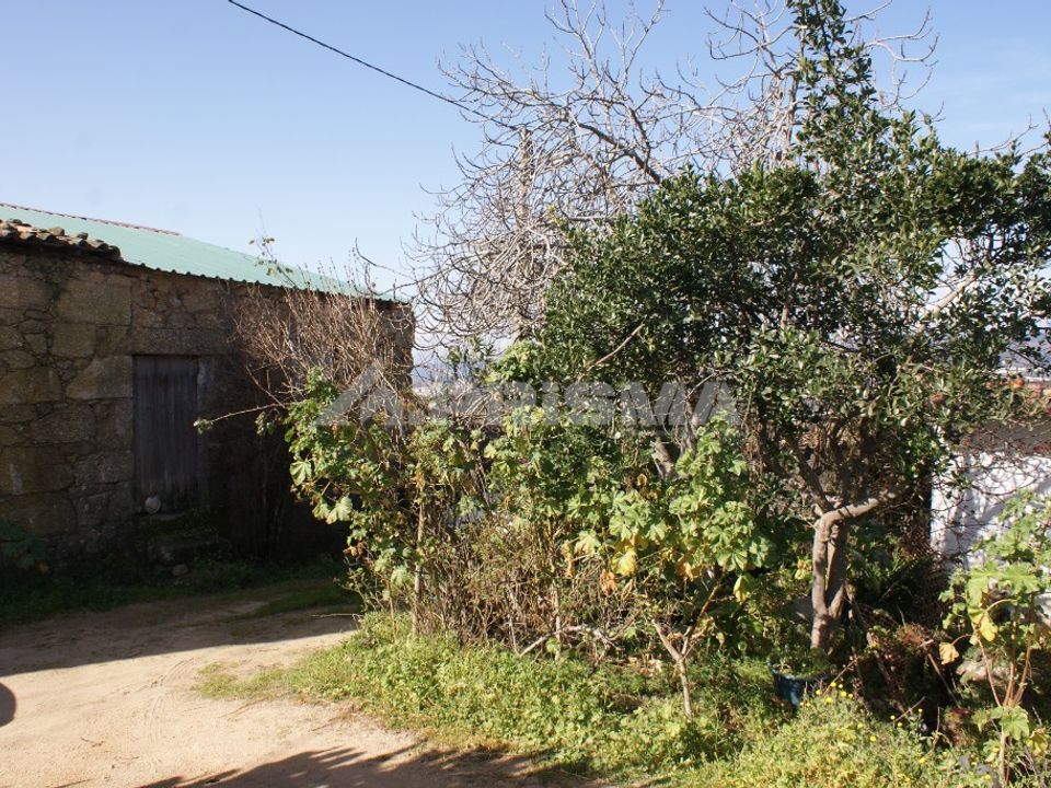 Farm i Covilha, Castelo Branco - foto 2