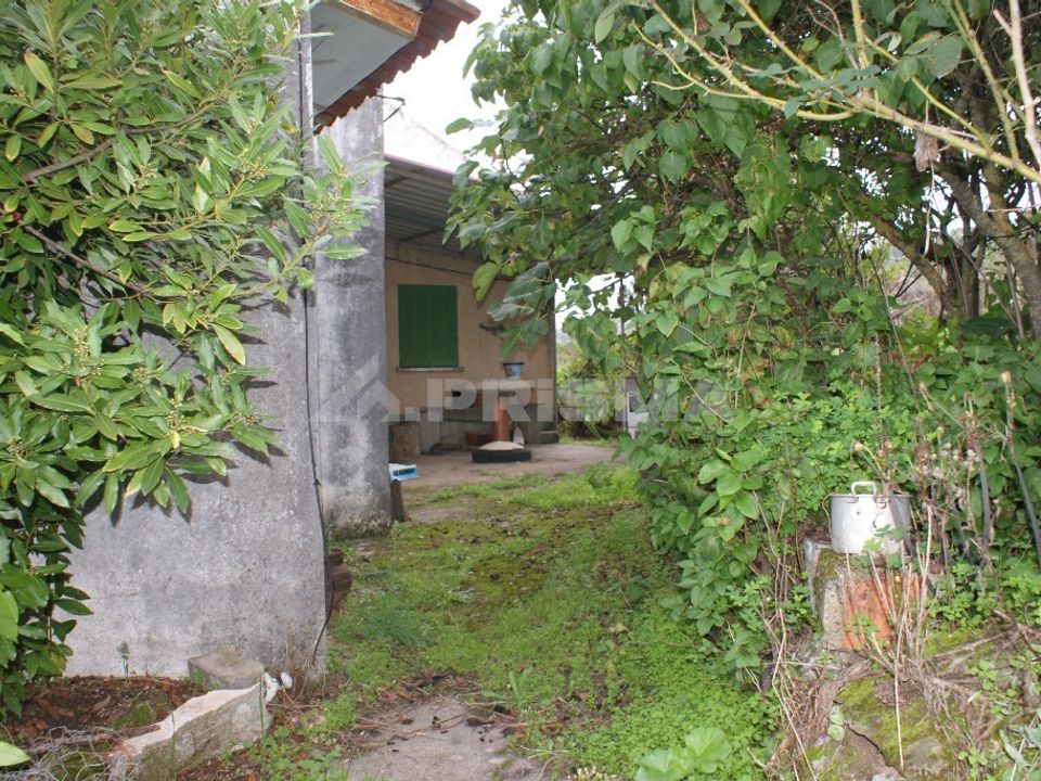 Farm i Covilha, Castelo Branco - foto 3