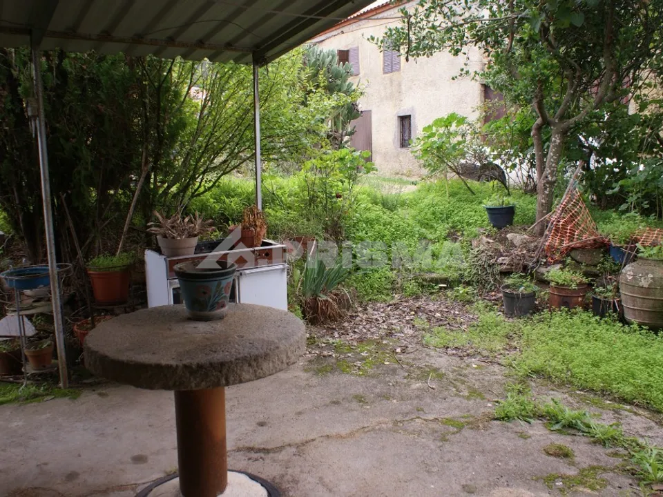 Farm i Covilha, Castelo Branco - foto 5