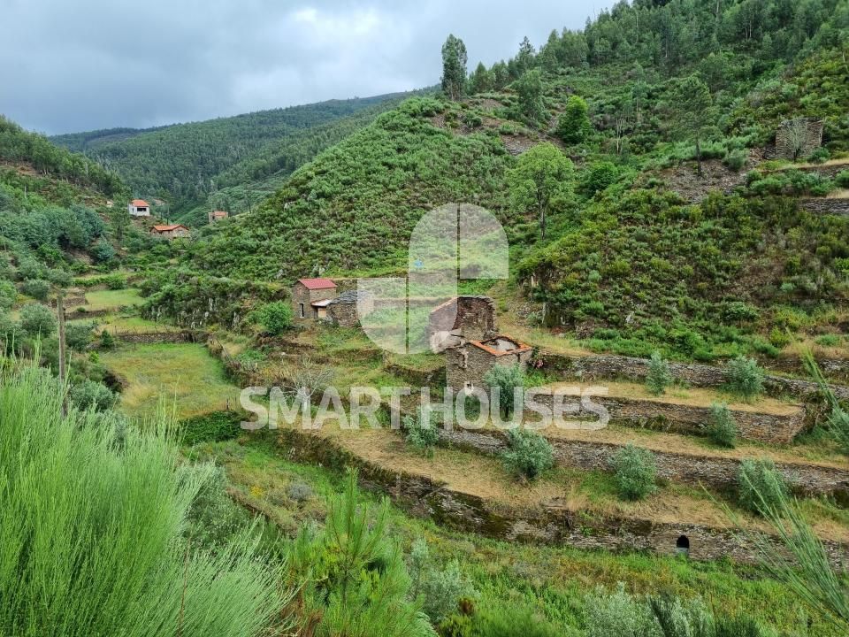 Farm i Benfeita, Coimbra - foto 1