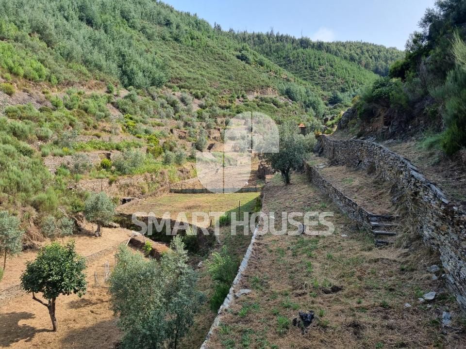 Farm i Benfeita, Coimbra - foto 2